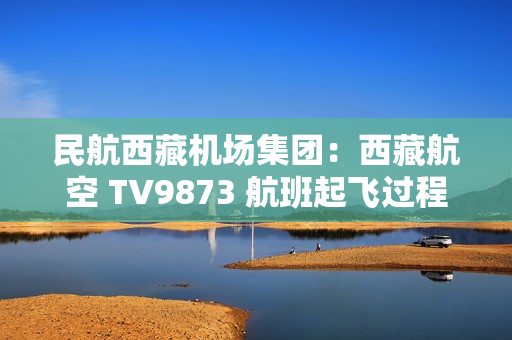 民航西藏机场集团：西藏航空 TV9873 航班起飞过程中遭遇鸟击，无人员受伤、飞机各项参数正常