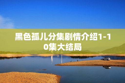 黑色孤儿分集剧情介绍1-10集大结局