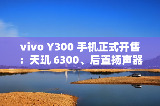 vivo Y300 手机正式开售：天玑 6300、后置扬声器设计，1399 元起