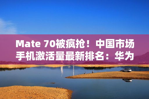 Mate 70被疯抢！中国市场手机激活量最新排名：华为拿下第一