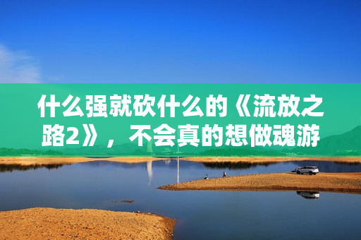 什么强就砍什么的《流放之路2》，不会真的想做魂游吧？