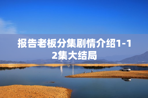 报告老板分集剧情介绍1-12集大结局