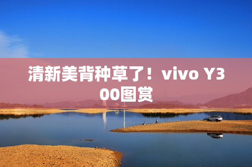 清新美背种草了！vivo Y300图赏