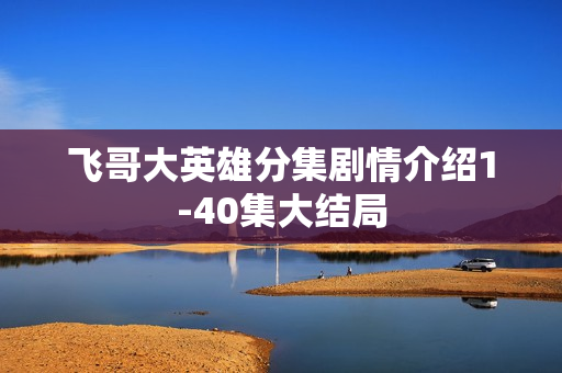 飞哥大英雄分集剧情介绍1-40集大结局