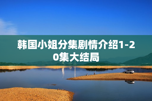 韩国小姐分集剧情介绍1-20集大结局