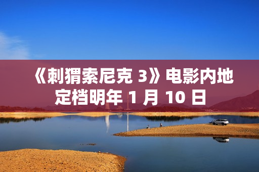 《刺猬索尼克 3》电影内地定档明年 1 月 10 日