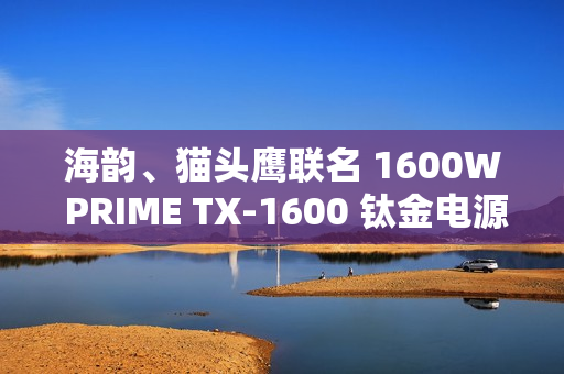 海韵、猫头鹰联名 1600W PRIME TX-1600 钛金电源开售，4299 元