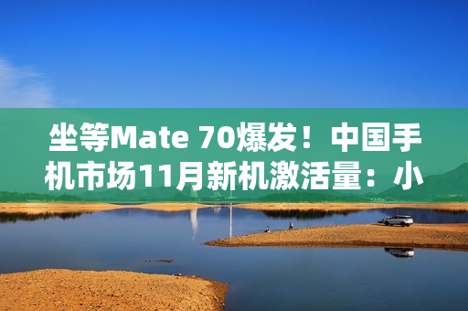 坐等Mate 70爆发！中国手机市场11月新机激活量：小米力压华为、苹果第一