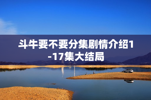 斗牛要不要分集剧情介绍1-17集大结局