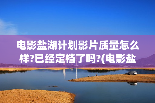 电影盐湖计划影片质量怎么样?已经定档了吗?(电影盐湖计划影评豆瓣)