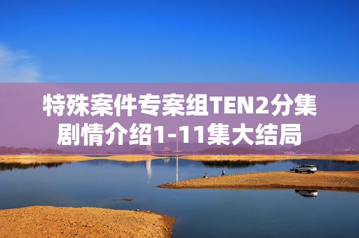 特殊案件专案组TEN2分集剧情介绍1-11集大结局