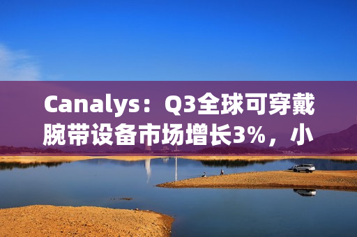 Canalys：Q3全球可穿戴腕带设备市场增长3%，小米和苹果并列第一
