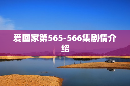爱回家第565-566集剧情介绍