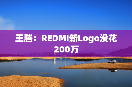 王腾：REDMI新Logo没花200万