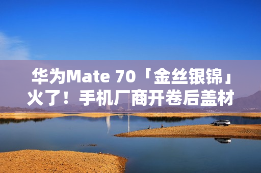 华为Mate 70「金丝银锦」火了！手机厂商开卷后盖材质