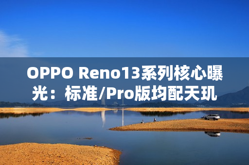 OPPO Reno13系列核心曝光：标准/Pro版均配天玑8350