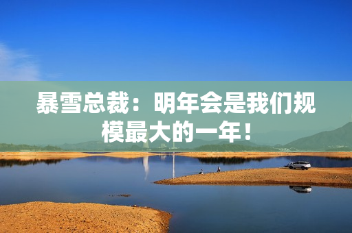 暴雪总裁：明年会是我们规模最大的一年！