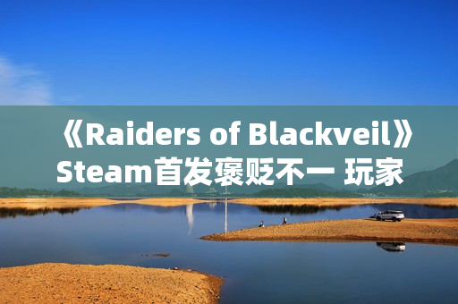 《Raiders of Blackveil》Steam首发褒贬不一 玩家：土豆服务器还敢强制联网？