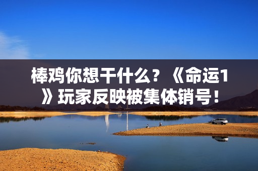 棒鸡你想干什么？《命运1》玩家反映被集体销号！