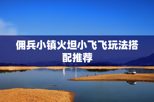 佣兵小镇火坦小飞飞玩法搭配推荐