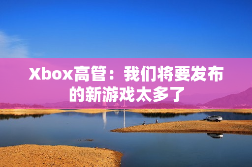 Xbox高管：我们将要发布的新游戏太多了