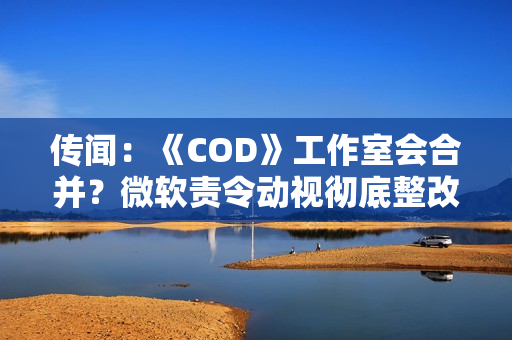 传闻：《COD》工作室会合并？微软责令动视彻底整改