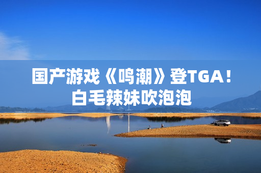 国产游戏《鸣潮》登TGA！白毛辣妹吹泡泡