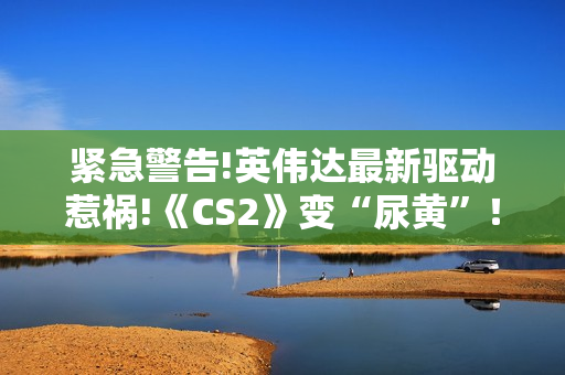 紧急警告!英伟达最新驱动惹祸!《CS2》变“尿黄”！