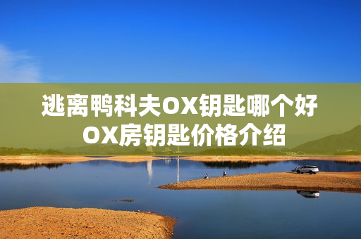 逃离鸭科夫OX钥匙哪个好 OX房钥匙价格介绍
