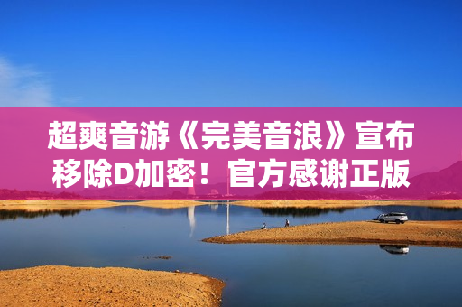 超爽音游《完美音浪》宣布移除D加密！官方感谢正版玩家支持