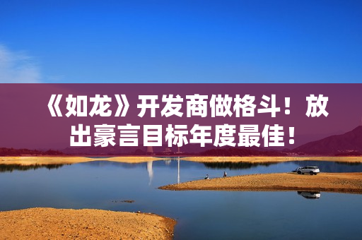 《如龙》开发商做格斗！放出豪言目标年度最佳！