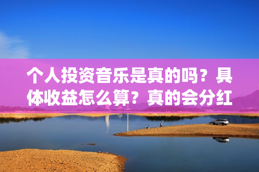 个人投资音乐是真的吗？具体收益怎么算？真的会分红吗？(个人投资音乐是做什么的)