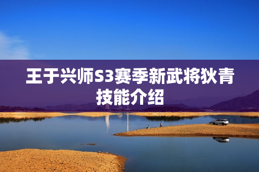 王于兴师S3赛季新武将狄青技能介绍