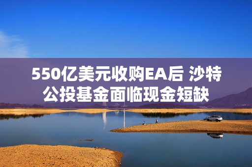 550亿美元收购EA后 沙特公投基金面临现金短缺