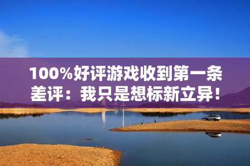 100%好评游戏收到第一条差评：我只是想标新立异！