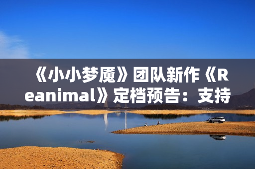 《小小梦魇》团队新作《Reanimal》定档预告：支持中配 已开启预购