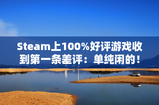 Steam上100%好评游戏收到第一条差评：单纯闲的！