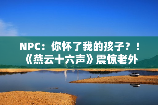 NPC：你怀了我的孩子？！《燕云十六声》震惊老外