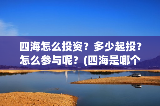 四海怎么投资？多少起投？怎么参与呢？(四海是哪个公司)