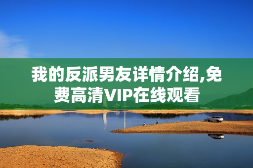 我的反派男友详情介绍,免费高清VIP在线观看