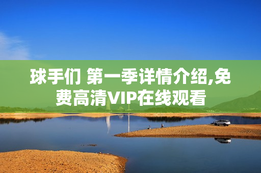 球手们 第一季详情介绍,免费高清VIP在线观看