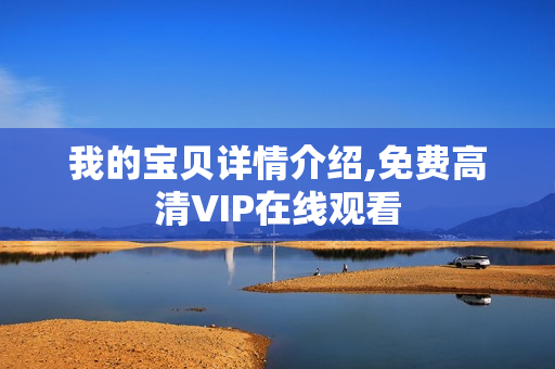 我的宝贝详情介绍,免费高清VIP在线观看