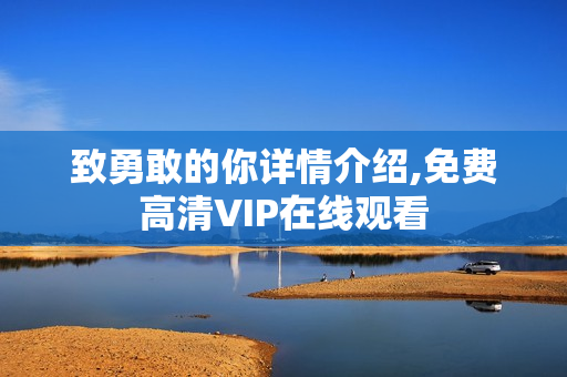 致勇敢的你详情介绍,免费高清VIP在线观看