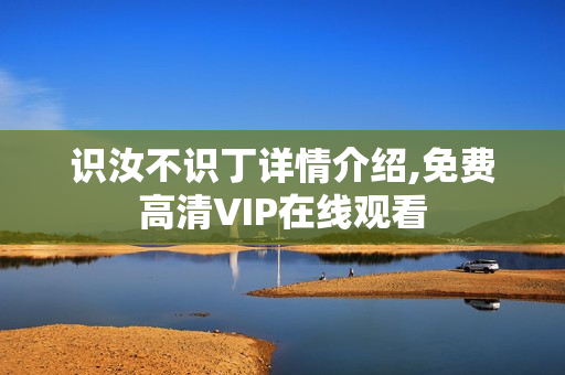识汝不识丁详情介绍,免费高清VIP在线观看