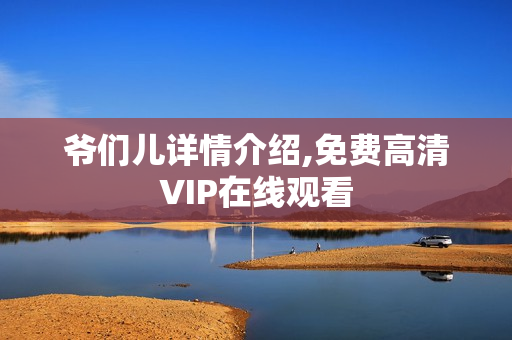 爷们儿详情介绍,免费高清VIP在线观看