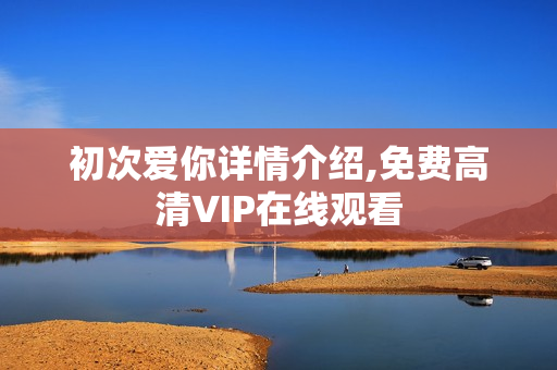 初次爱你详情介绍,免费高清VIP在线观看