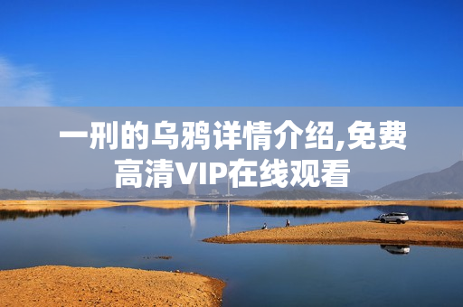 一刑的乌鸦详情介绍,免费高清VIP在线观看