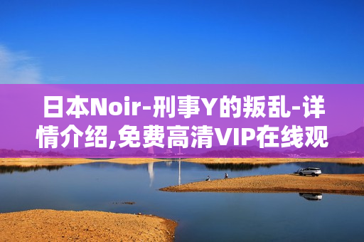 日本Noir-刑事Y的叛乱-详情介绍,免费高清VIP在线观看