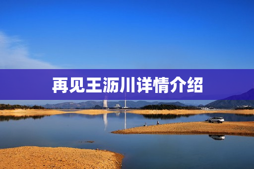 再见王沥川详情介绍