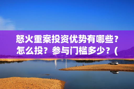 怒火重案投资优势有哪些？怎么投？参与门槛多少？(怒火重案背后的投资公司)